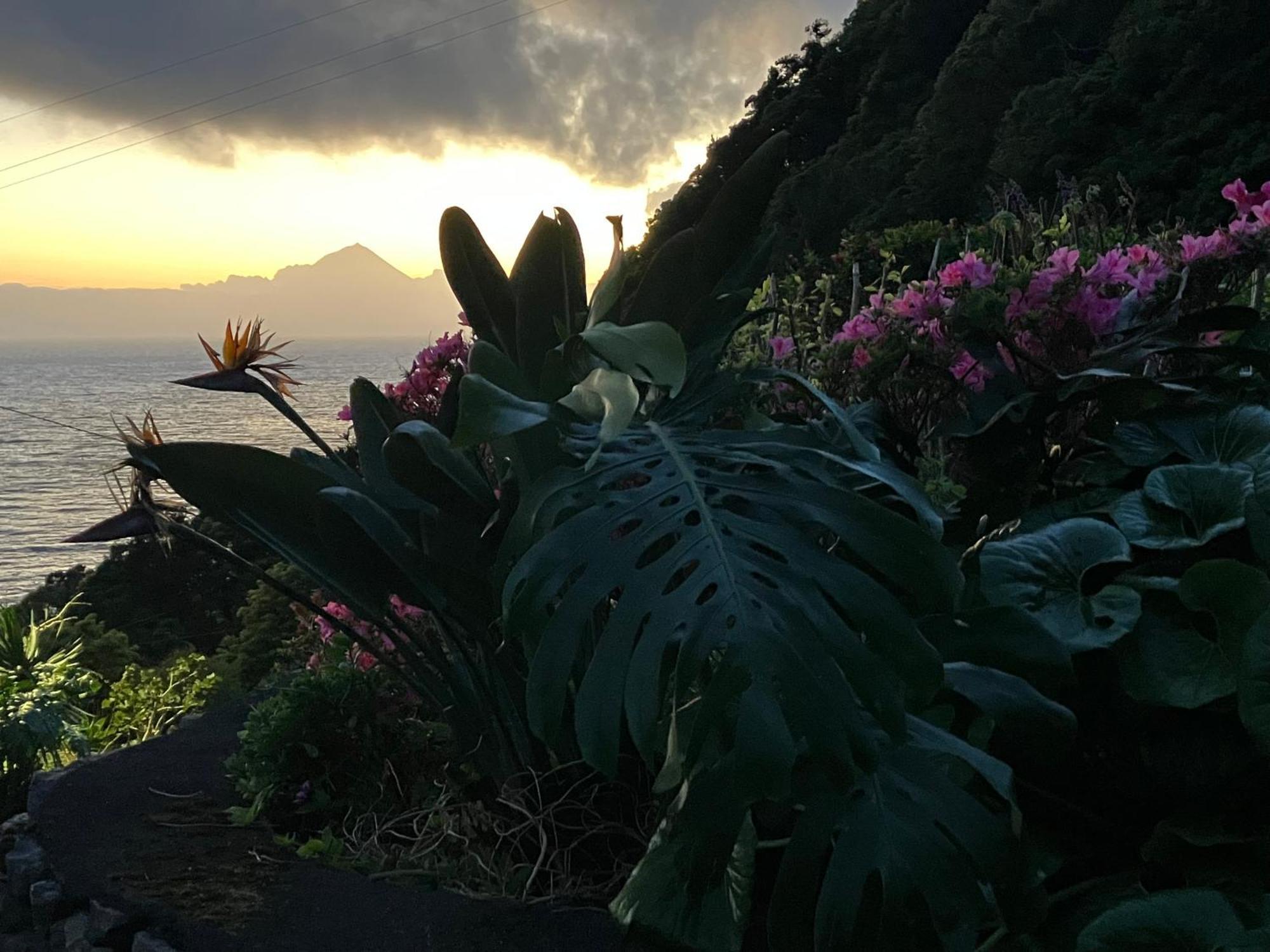 Vistalinda Cabins Calheta  ภายนอก รูปภาพ