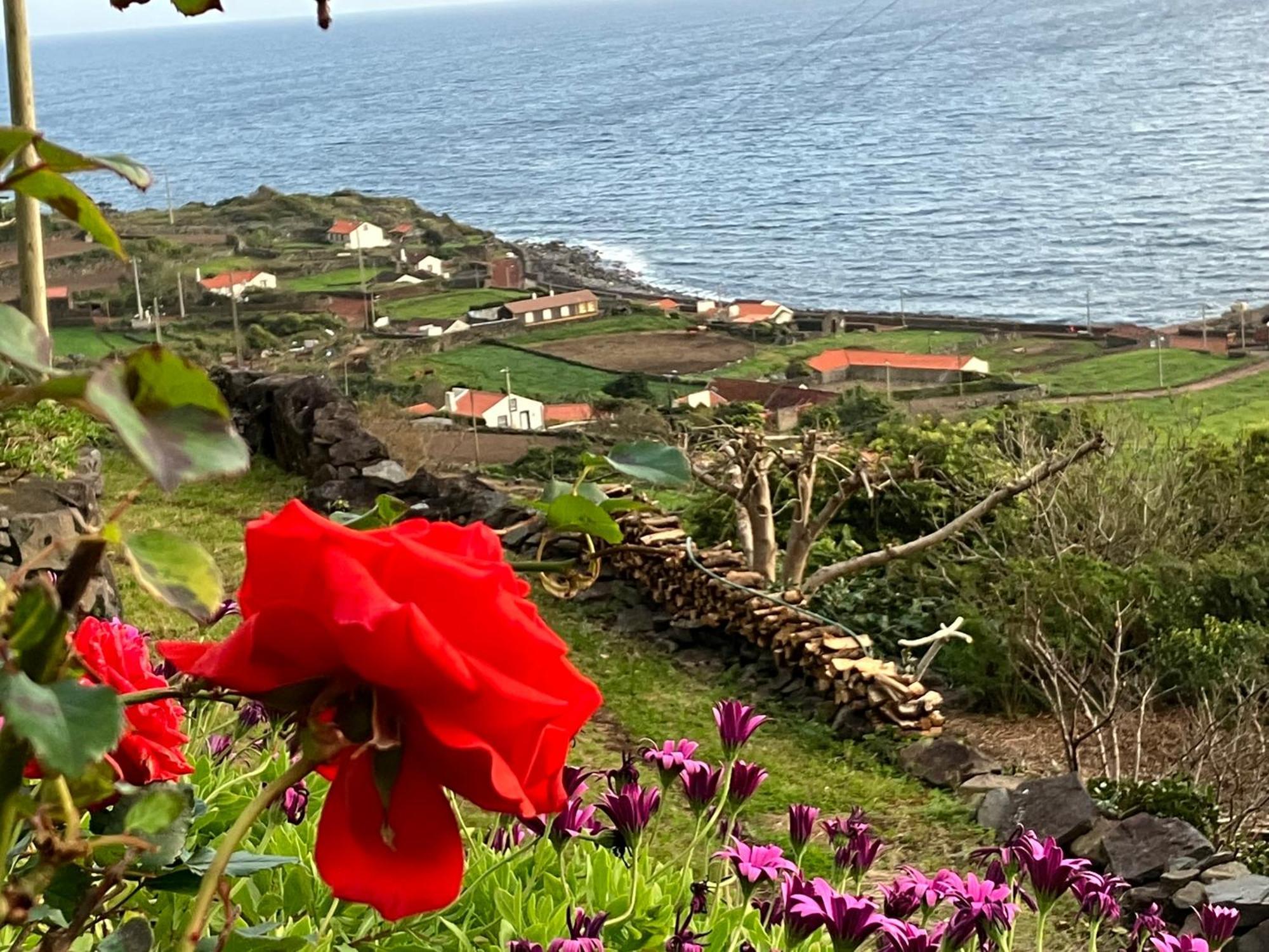 Vistalinda Cabins Calheta  ภายนอก รูปภาพ
